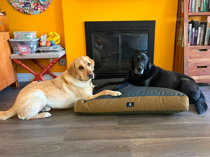 Coolorado Dog Bed