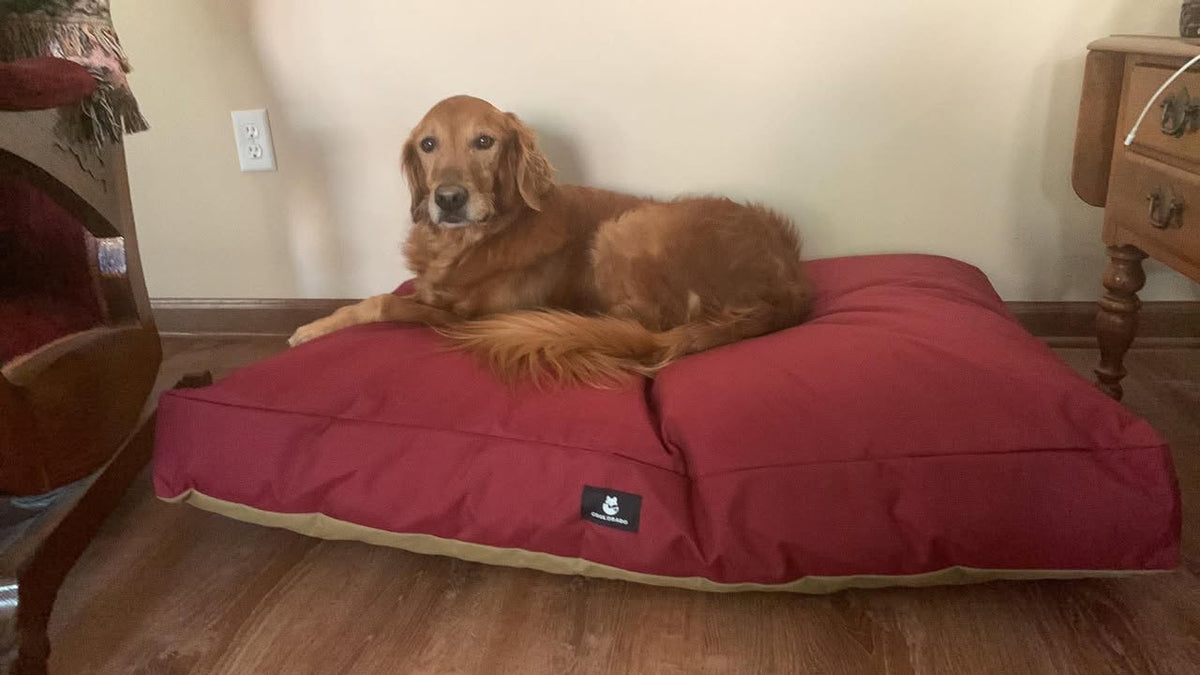Coolorado Overstuffed Dog Bed