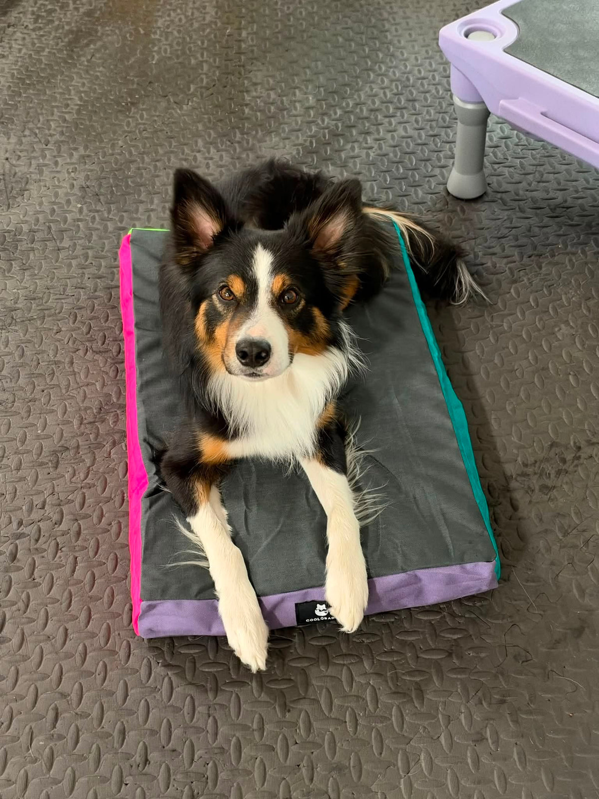 Custom Crate Pads