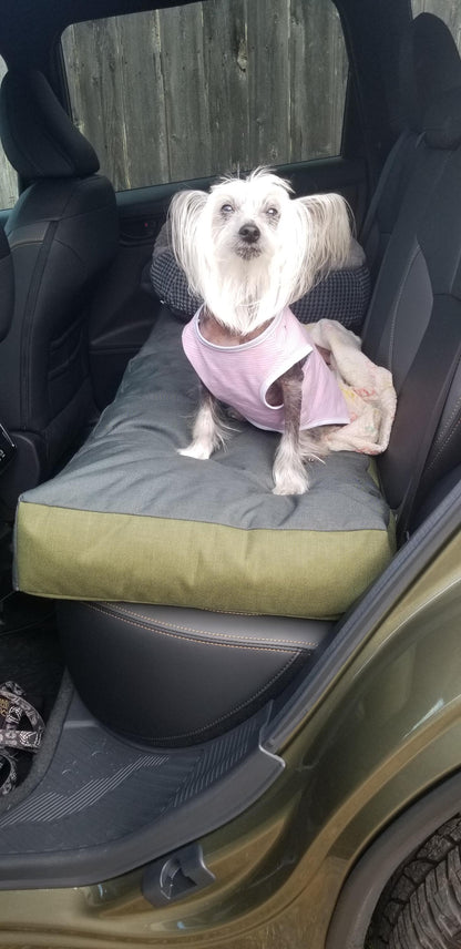 Coolorado Dog Bed