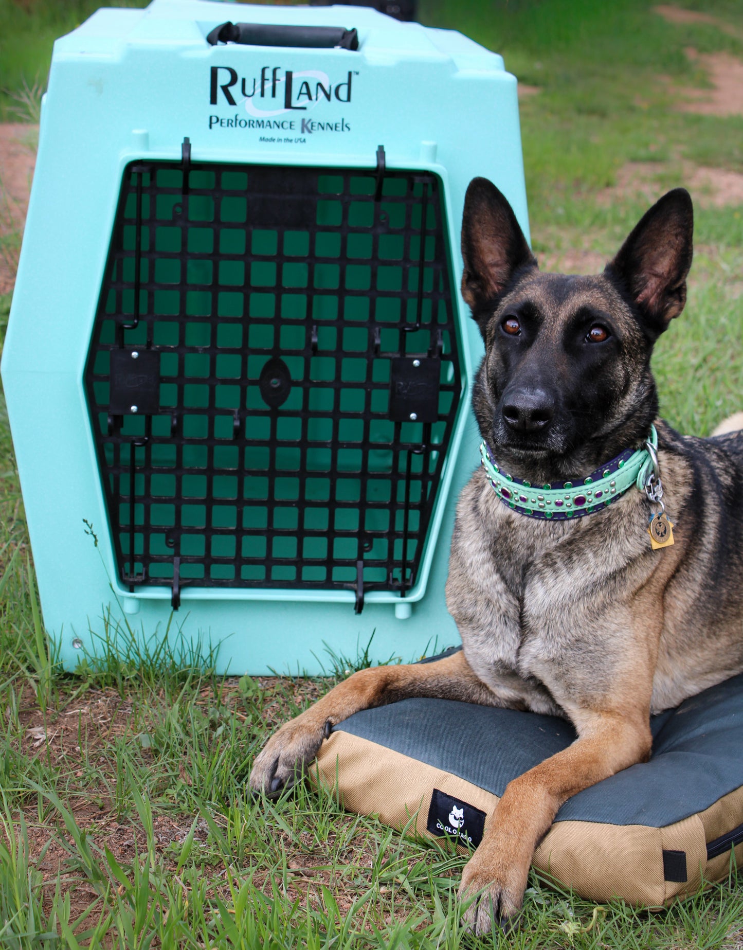 Coolorado CUSTOM Dog Crate Pad