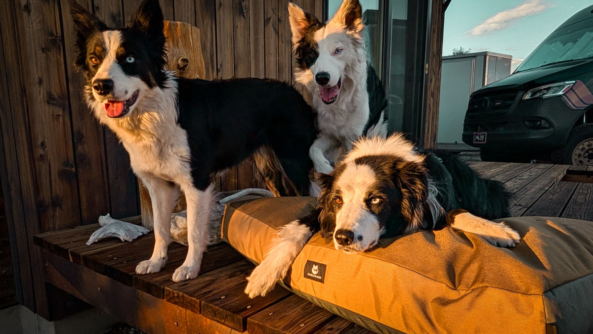 Coolorado Overstuffed Dog Bed