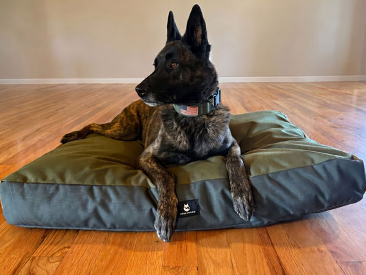 Coolorado Dog Bed