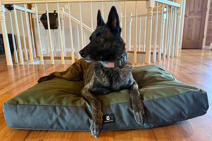 Coolorado Dog Bed