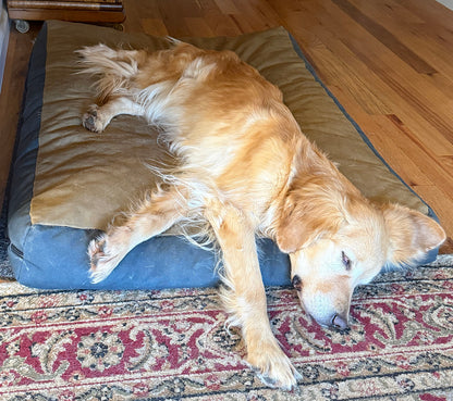 Coolorado Overstuffed Dog Bed